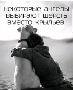 Кот-Пёс🐕🐩🐈🐇🐁🐾🐾🐾🐾😘