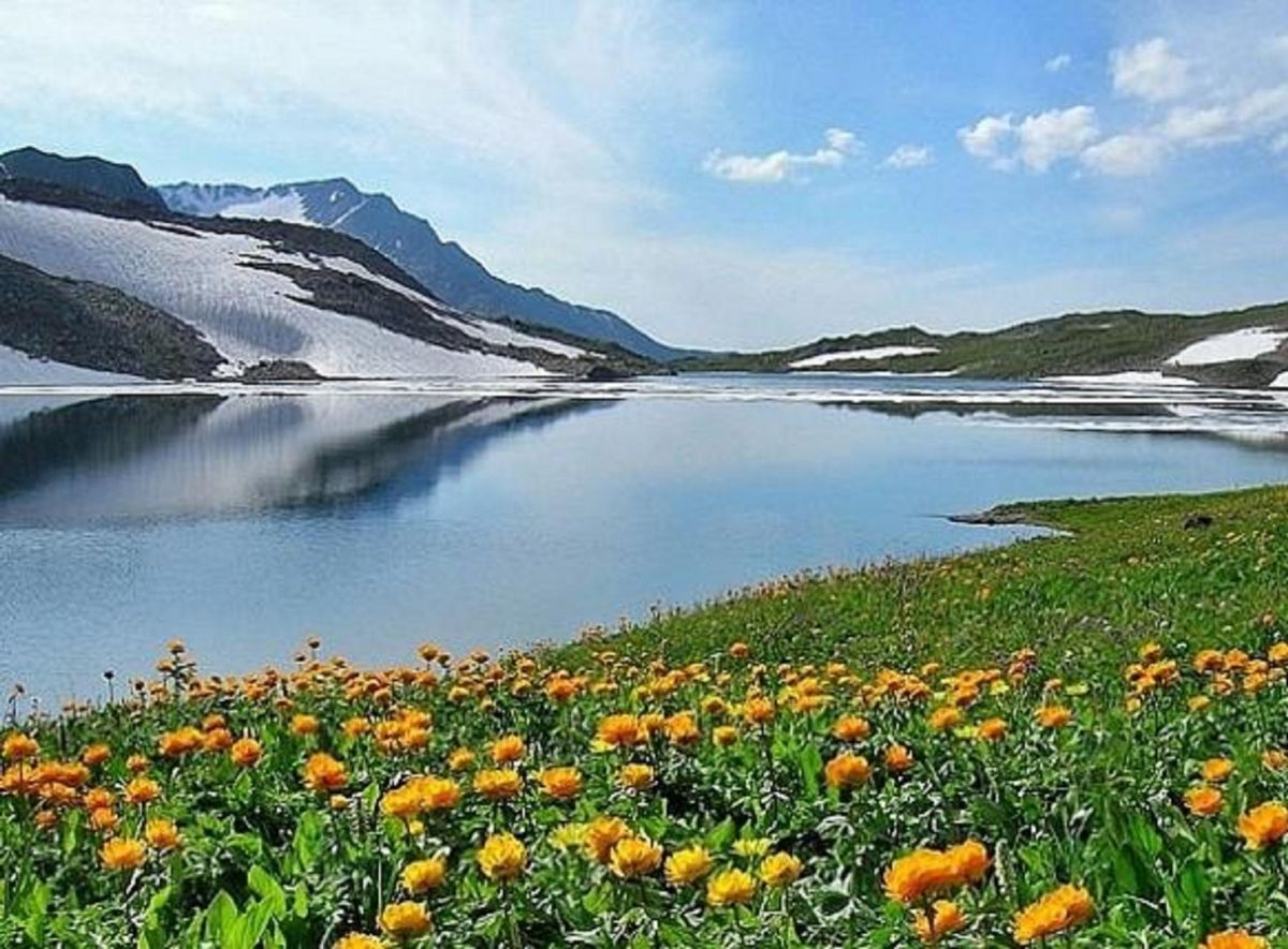 Флора озера Байкал