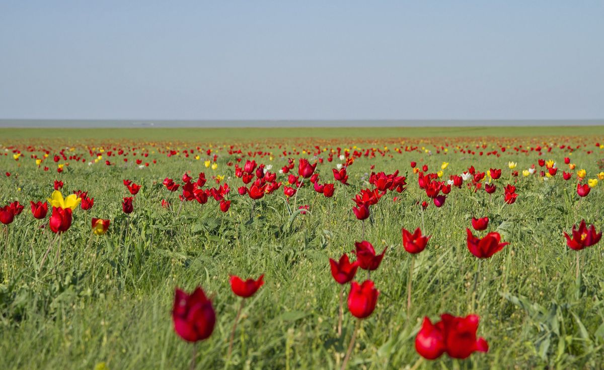 Иллюстрация к публикации