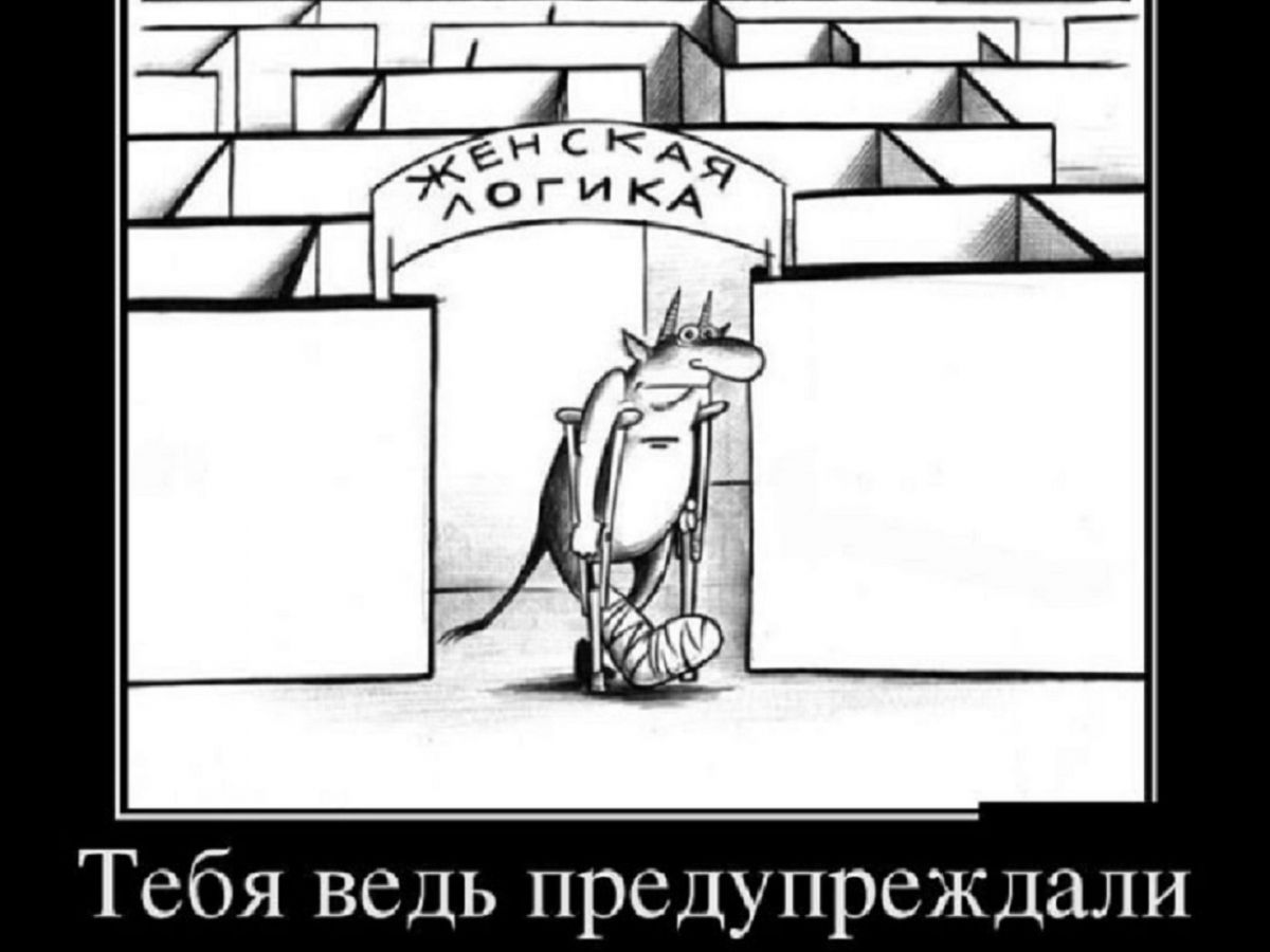 Самому логичному. Демотиватор. Шутки про женскую логику. Логика карикатура. Женская логика карикатура.