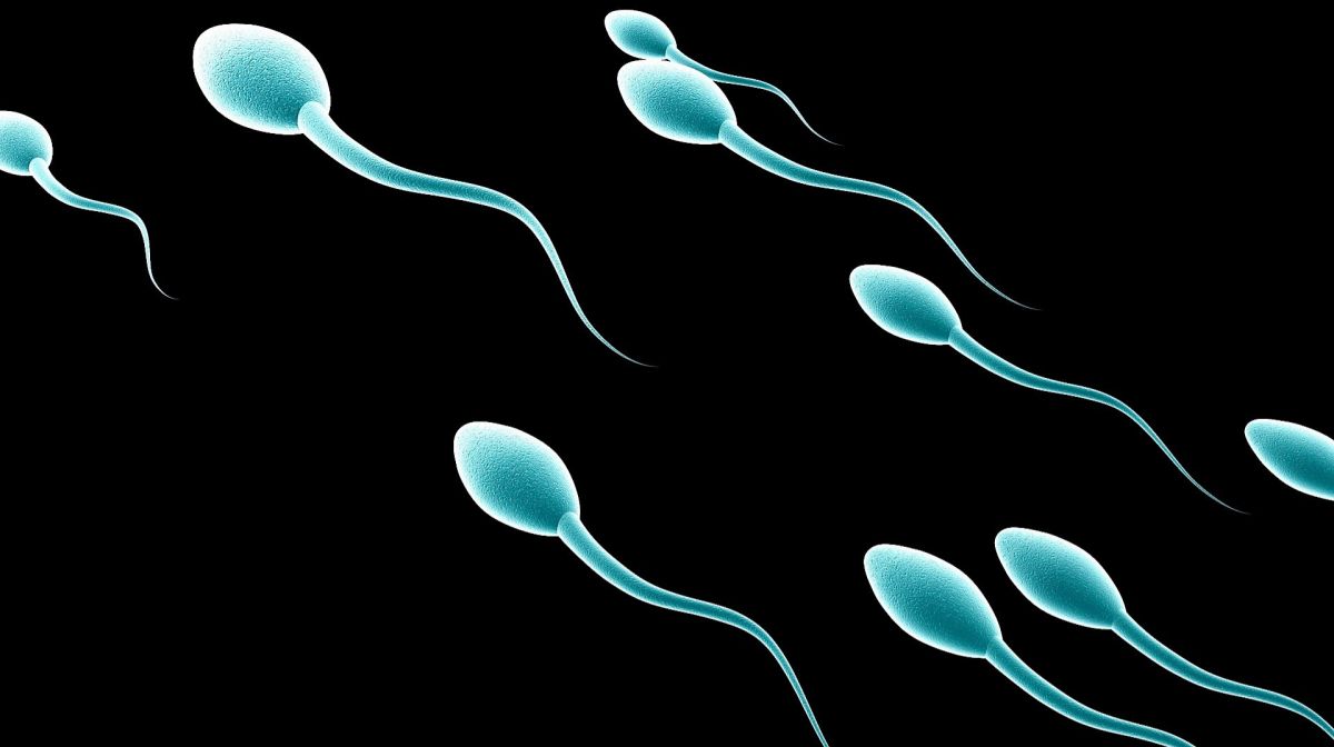 сперма много спермы видео много малолетки фото 100
