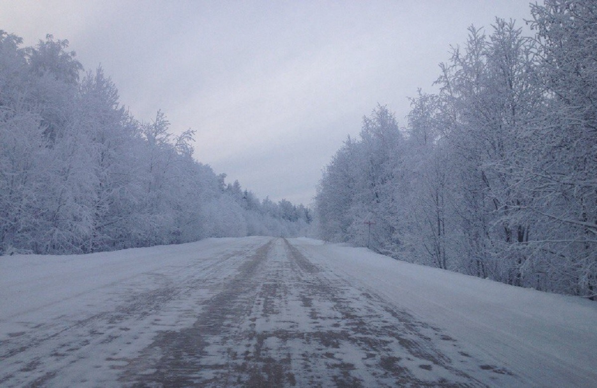 Дорога волчанск