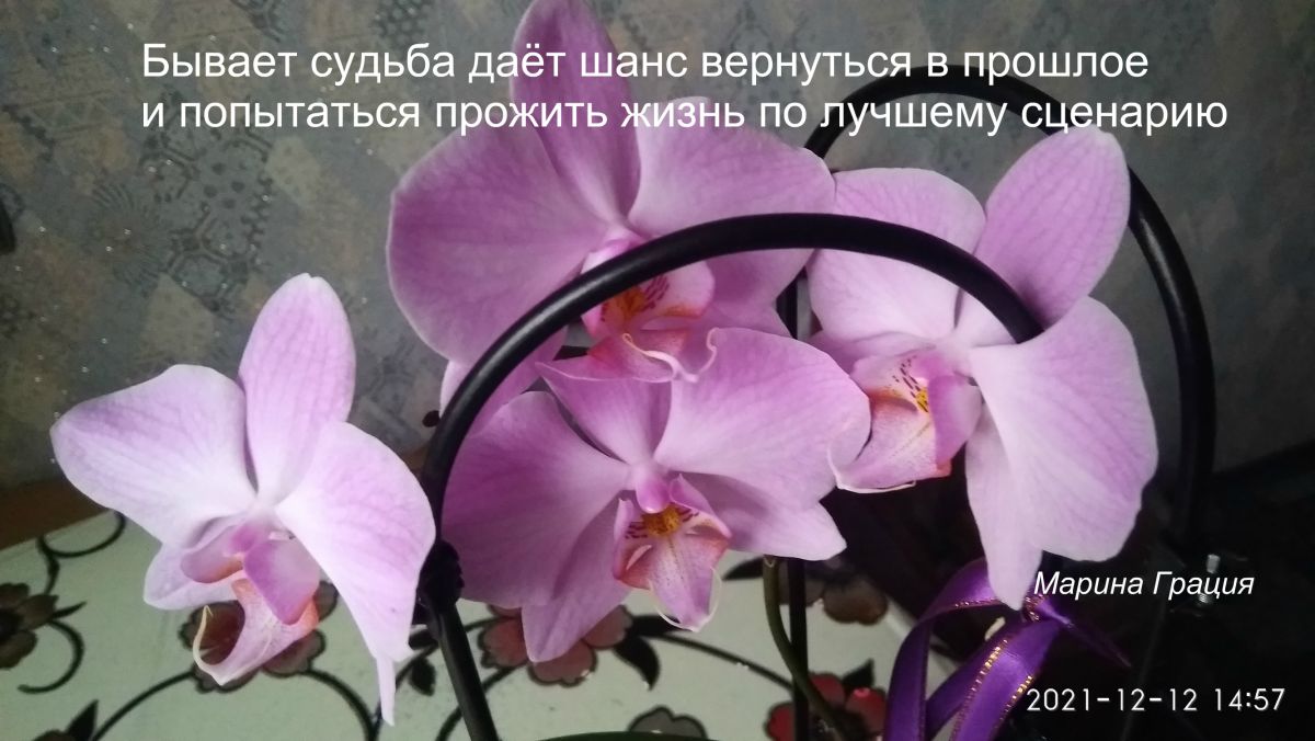 Судьба бывает