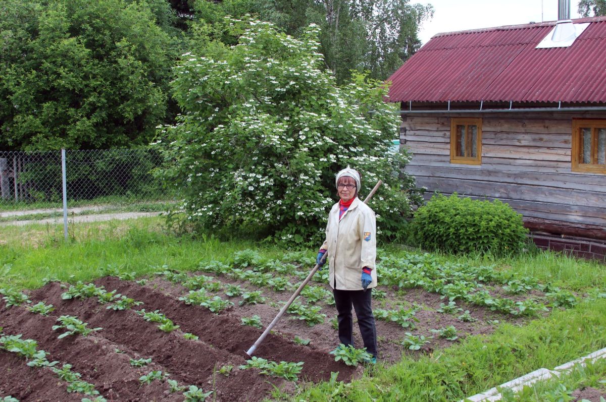 Иллюстрация к публикации