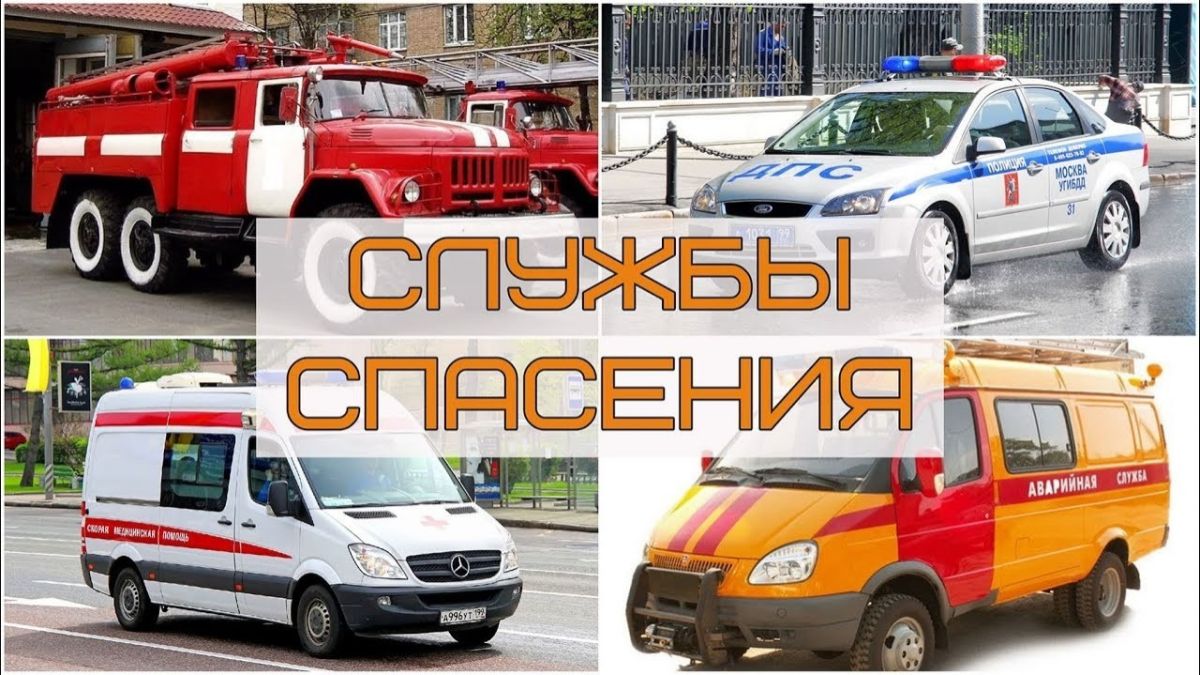 Служба спасения в картинках