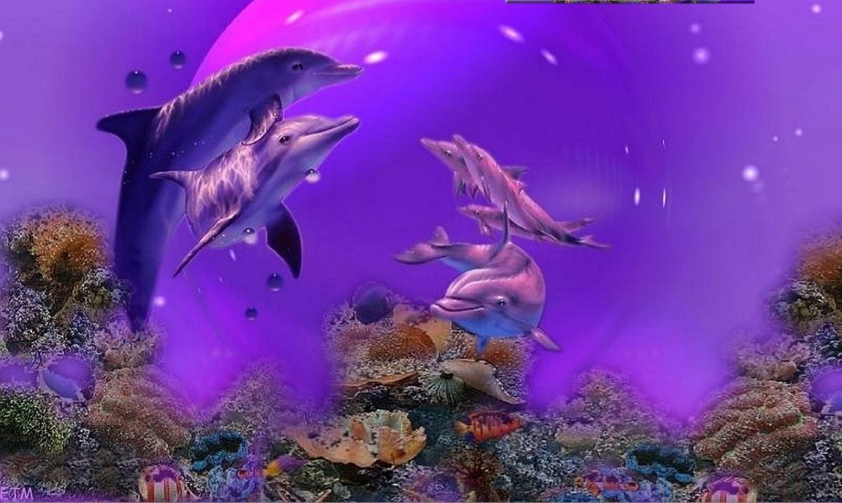 Дельфины на фиолетовом фоне