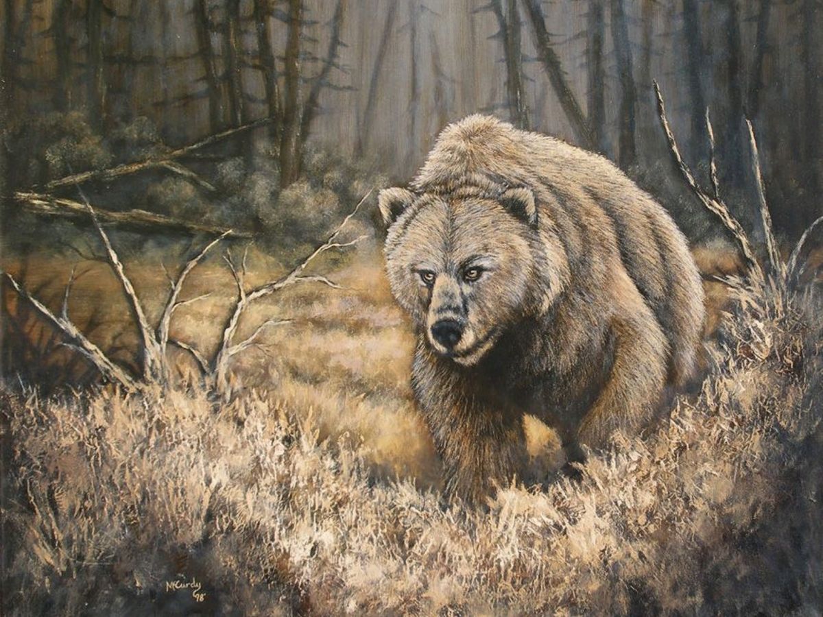 Медведь бурый Славянский