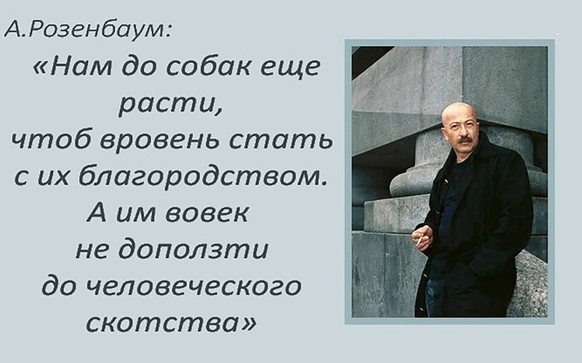 Чтоб рос. Цитаты Розенбаума. Розенбаум нам до собак еще расти. Розенбаум о собаках цитаты. Стих нам до собак еще расти.