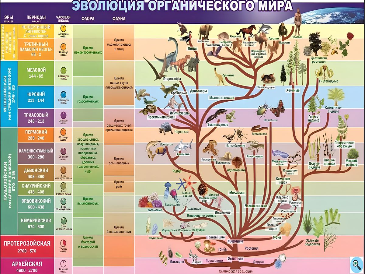 Иллюстрация к публикации