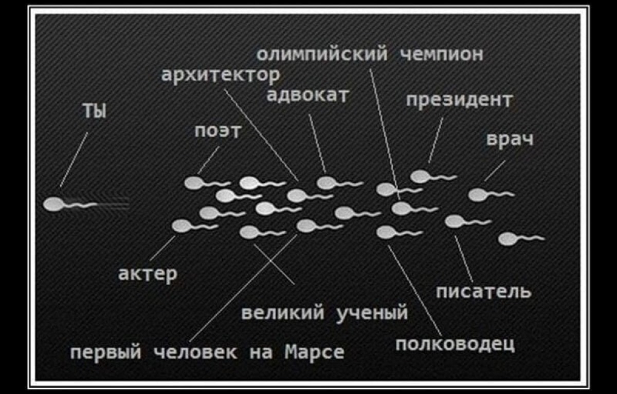 Иллюстрация к публикации