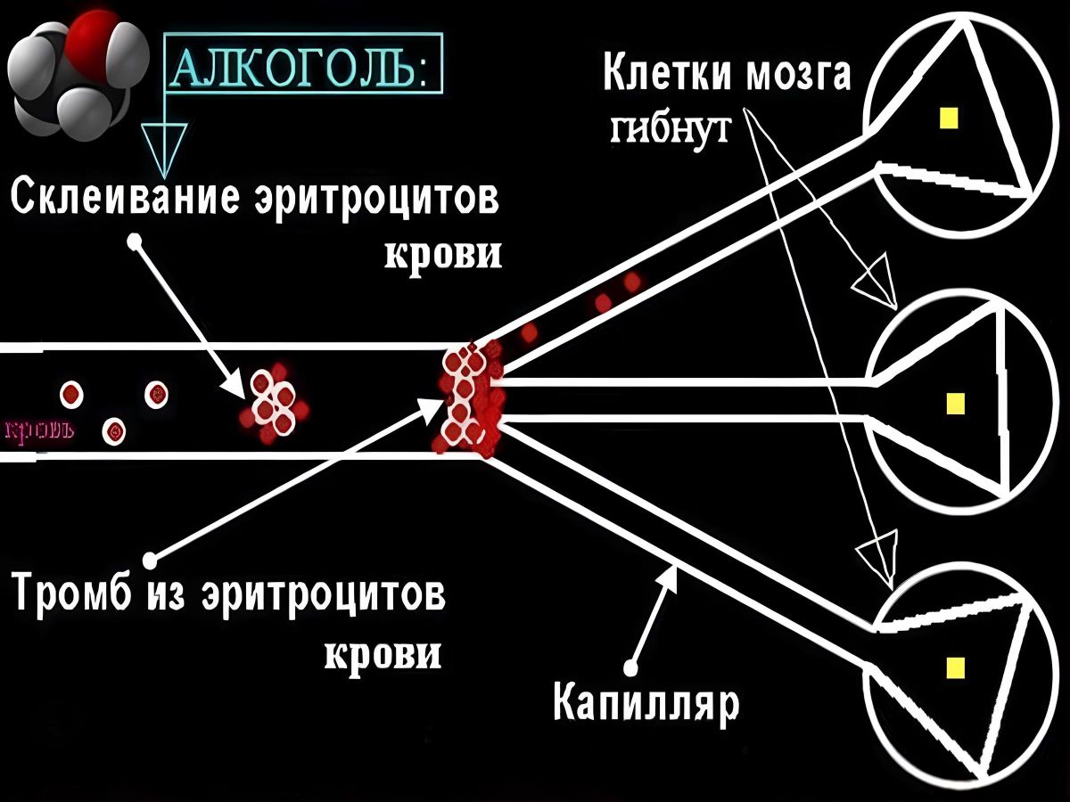 Иллюстрация к публикации