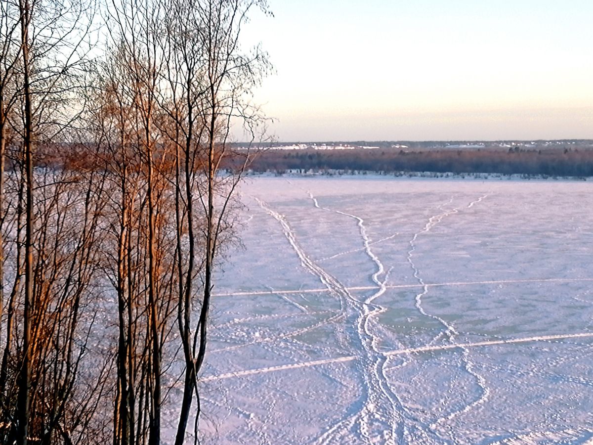 Иллюстрация к публикации