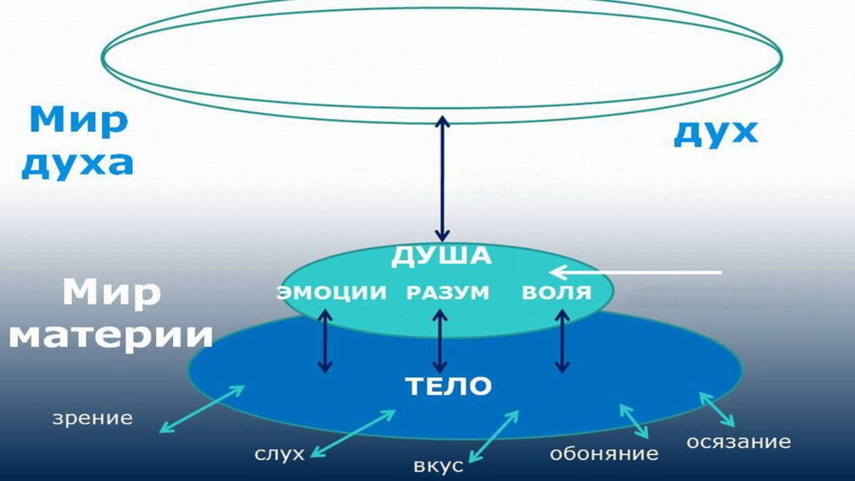 Иллюстрация к публикации