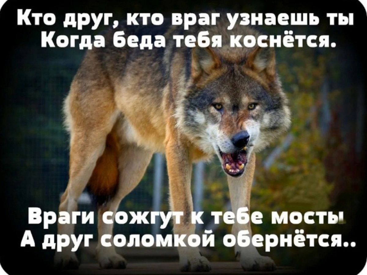 Пасынок не такой уж и бесполезный оказался