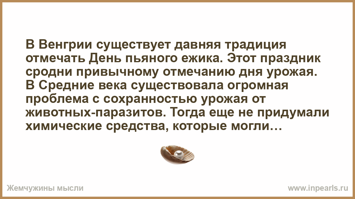 28 ноября день пьяного. 28 Ноября праздник день пьяного ежика. День пьяного ежика 28. Праздник пьяного ежика в Венгрии. Венгрия праздник пьяного ежа.