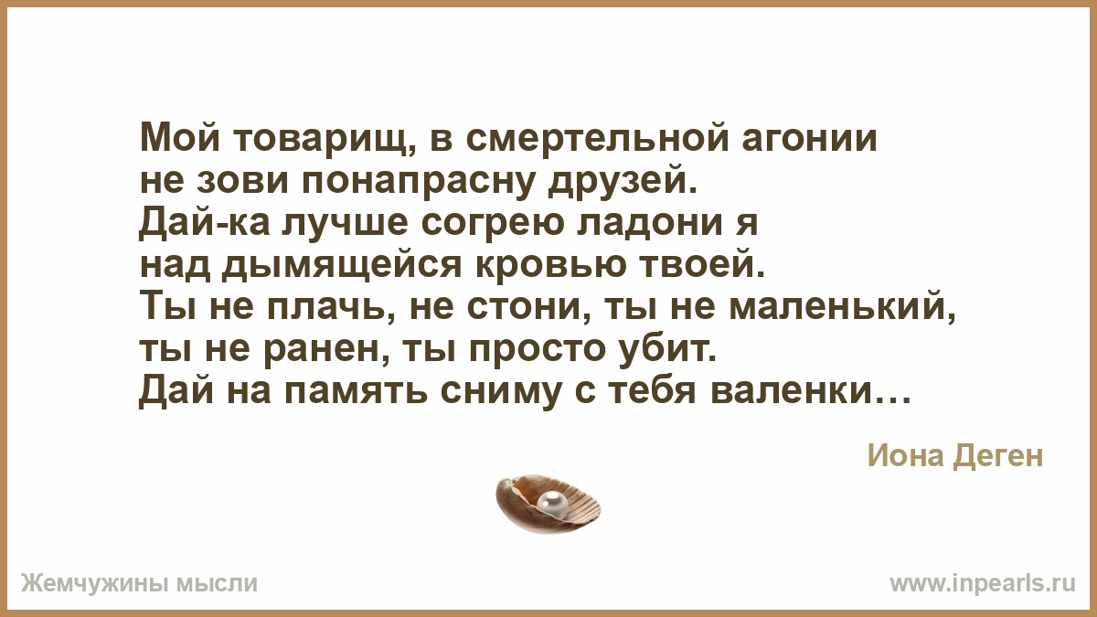 Друг даны. Ион деген мой товарищ в смертельной агонии. Мой товарищ в смертельной агонии не зови понапрасну друзей. Мой товарищ в смертельной агонии стих. Стихи о войне мой товарищ в смертельной агонии.