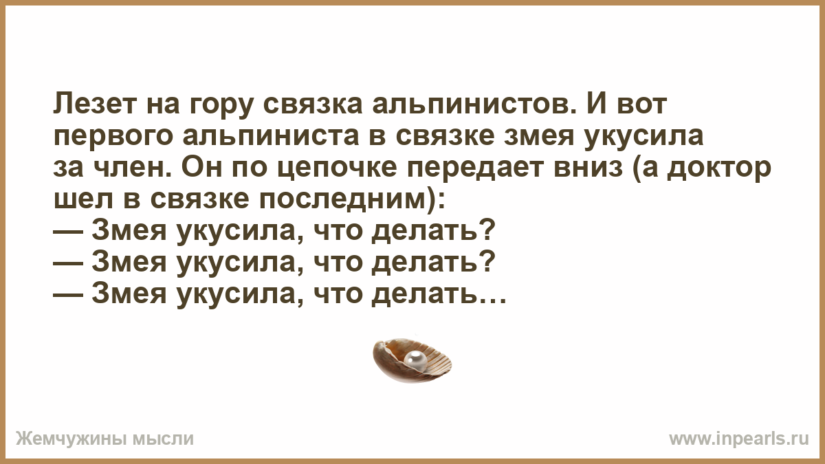 Укусила за член: в Ростовской области мужчина жестоко избил знакомую во время минета