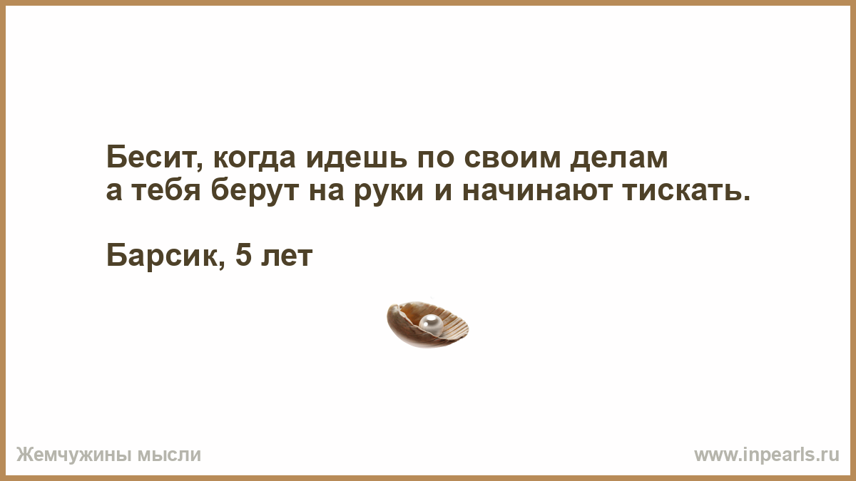 Бесит, когда идешь по своим делам а тебя берут на руки и начинают тискать . Барсик, 5 лет