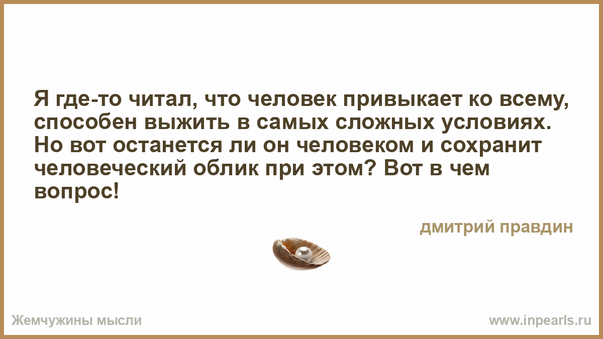 Останется ли. Человек ко всему привыкает. Человек ко всему привыкает цитата. Стихотворение 